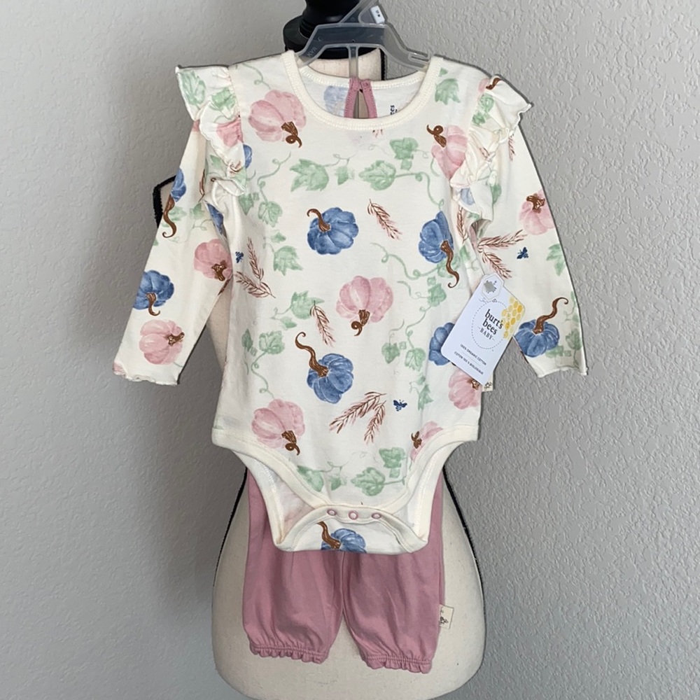 Burt’s Bees baby pumpkin 2 piece set 12M